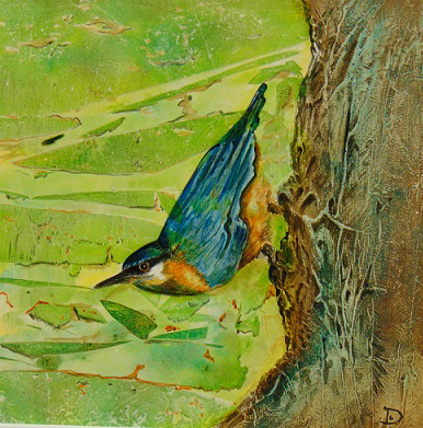 Spring Nuthatch